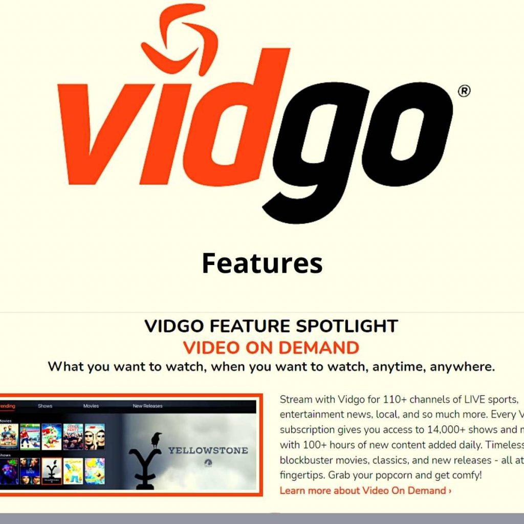 vidgo features