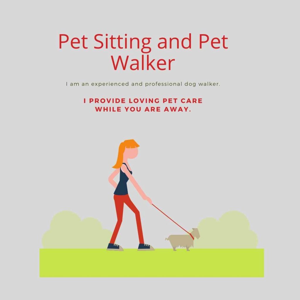 Pet Sitting and Pet Walker