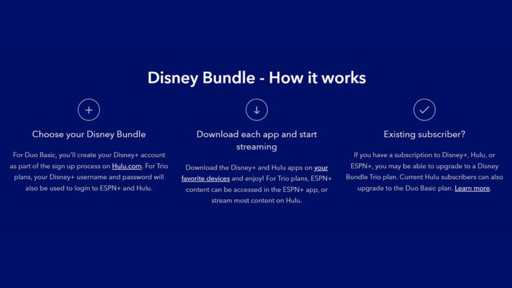 Disney bundle How it Works