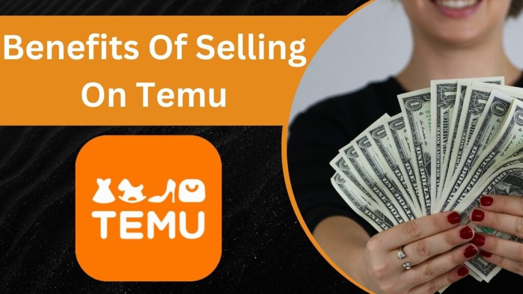 How To Sell On Temu: The Ultimate Guide (In 2024)